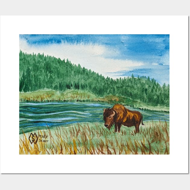 Buffalo at the river in the park Wall Art by Matt Starr Fine Art